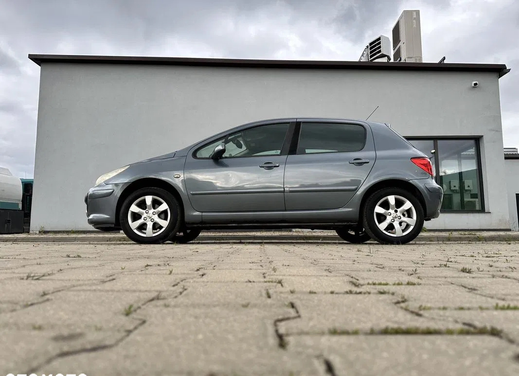 peugeot chocianów Peugeot 307 cena 7900 przebieg: 198929, rok produkcji 2005 z Chocianów